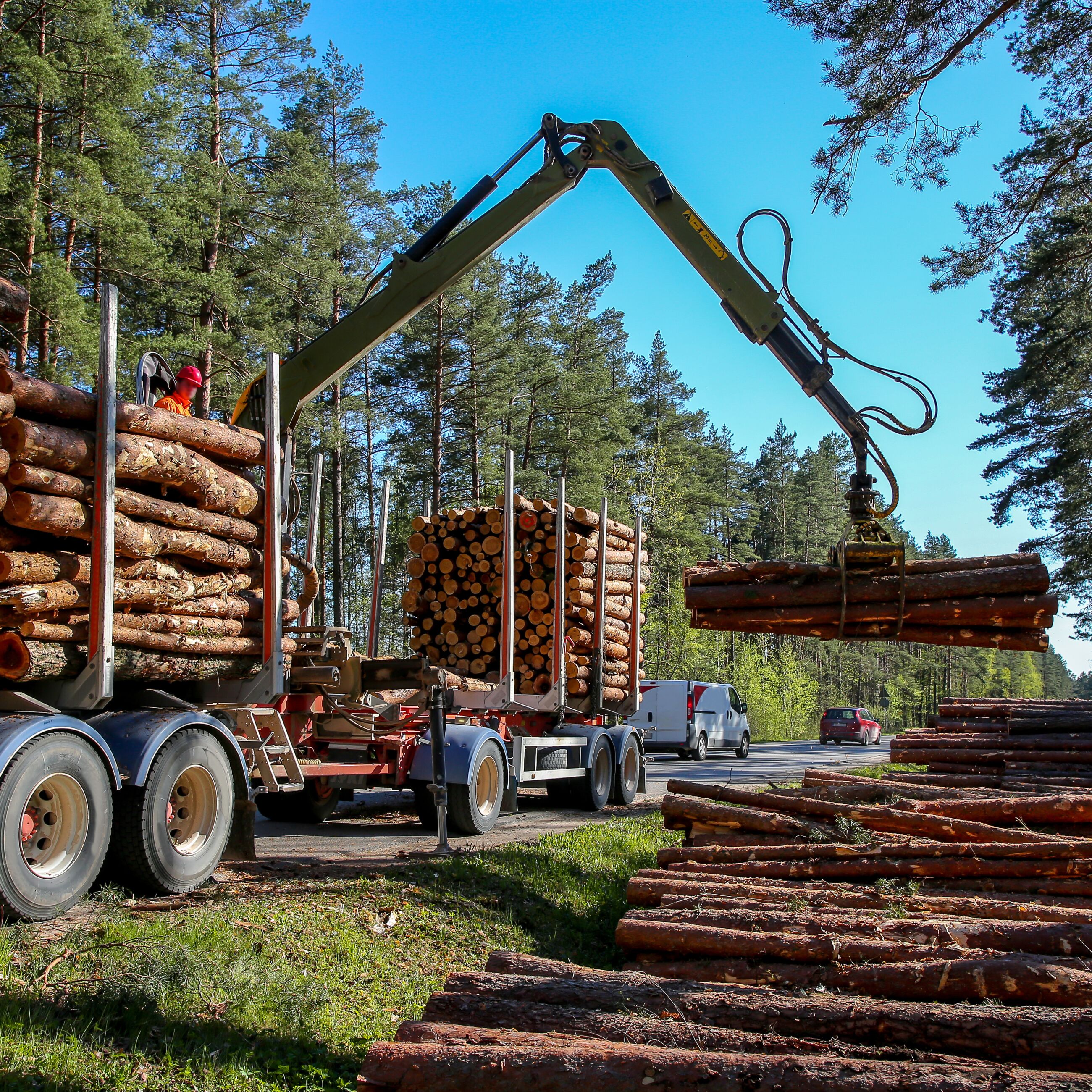 Ante Holz Gewissenhafte Planung beim Rundholzeinkauf